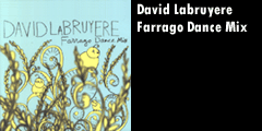 David Labruyere - Farrago Dance Mix