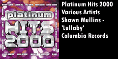 Platinum Hits 2000